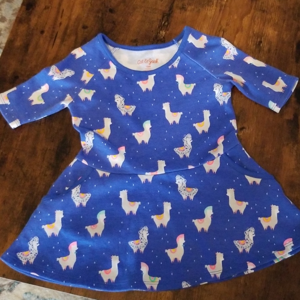 SOLD!!!!Alpaca blue dress.